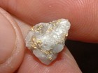 Gold Quartz Specimen 1 09 Grams Natural Oregon Gold In Quartz Micromount