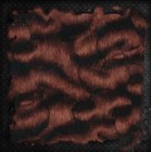 South African Teak Wood Hydrographic Water Transfer Film Hydro Dipping Dip