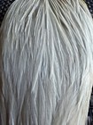 Whiting Hebert  3 Grade Cape Cream 848-sh-e-l