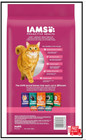 Iams Proactive Health Adult Urinary Tract Healthy Dry Cat Food With Chicken  3 5