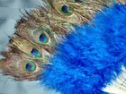 Vintage Peacock   Ostrich Feathers Hand Held Fan