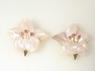    Set Earring  Pendant Necklace Designer Pink Acrylic     Faux  Pearls  1652ro