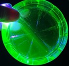 Set Of 4 Vintage Vaseline Uranium Depression Glow Glass Green Coasters 3 75   