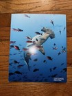 Discovery Ultimate Book Of Sharks Magazine 2024   Shark Week   250  Photos