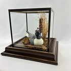 Vintage Woodland Painted Carved Duck Diorama Glass Brass Library Lodge Decor