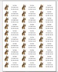 150 Abyssinian Cat Mailing Return Address Labels Personalized  1 X 2 5 8 In 