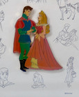Disney Sleeping Beauty Aurora Phillip Princesses Pin Collection Frame Le