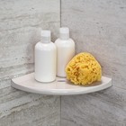 8  Corner Shower Shelf  Retrofit Organizer For Tile Walls  Caddy Soap Dish