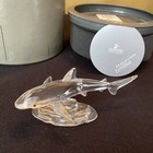 Swarovski Baby Shark 269236 Crystal Figurine South Sea W  Box   Coa