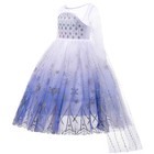 Costume Frozen Toddler Kids Girls Snow Queen Elsa Anna Deluxe Dress Up Birthday