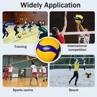 Mikasa V300w Original Volleyball Ball Professional Volleyball Ball Size 5