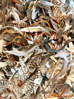 500pc Natural Mix 3-6  Loose Cape Feathers Whiting Farms  saltwater Flies 