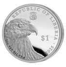 2025 Liberia  1 Trump Caesar Gold Gilt Proof 1 Oz  999 Silver Coin - 999 Mintage