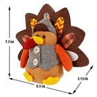  Thanksgiving Tabletop Decoration - Set Of 2 Plush Standing Turkey Couple   
