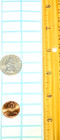    top Pick     3000 White Labels  Self Adhesive Price Tags Stickers  300 sold  