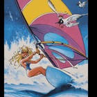 Dany  Windsurfing Board  Ex Libris Signed In Pencil  2002  199 Ex