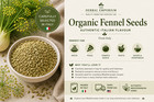 Bulk Sizes Available To  1 Lb Organic Italian Fennel Seeds   Premium Herb