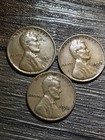 1951 1957 1958 Lincoln Wheat Penny Cent Set lot   Choice Proof   3 Coins   Xwl29