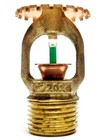 Tyco Series Ty-frb 1 2  Npt Brass Quick Response Upright Fire Sprinkler-ty313