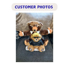10 2  Authentic Trumpinator Trump Teddy Bear Donald Trump 2024 Christmas Gifts