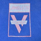 Vintage Venture Trucks 90   s Skateboarding T Shirt Size Medium Blue Distressed