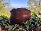 Gorgeous Live Edge German Helmet Cherry Wood Bowl Artist Signed