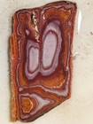 Royal Imperial Jasper Rough Slab Orbicular Bullseyes Mexico 137g Lapidary Agate