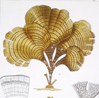 1831  Set Of -7- Edible Algae - Cooking - Home Decor - Antique Watercolour Xvb