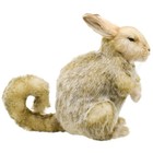Hansa Viscacha 32 Bh8144 New Realistic Plush Animals From Japan