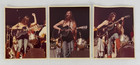 Emmylou Harris W  Grateful Dead Photo Lot  7      1970s 80s Live Shots     10x8   14