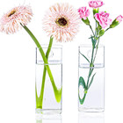 Plant Terrarium Container Propagation Station Square Tube Vase Wall Hanging Glas