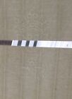 Blank Restoration Paper C  1790  Price Per Single Sheet   100   Available