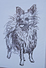 Pomeranian 3 Notepads 50 Sheets 8 5 X 5 5 New Black   White Drawing New
