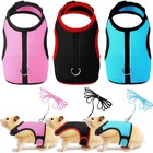Small Animal Escape Proof Harness And Leash - Please Measure- No Refunds