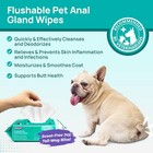 Cleansing Deodorizing   Soothing Allergy Infections Anal Gland Pets