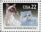 Exotic Shorthair   Siamese Cats Stamp Unused Mnh 22 Cent Us Postage Scott 2374