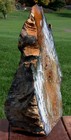 Sis  My Finest 12  Hubbard Basin Petrified Wood Sculpture Stunning Artwork 