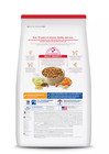 Hill s Science Diet Large Breed Adult Dry Dog Food Chicken   Barley 35 Lb Bag