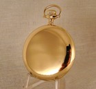 Antique Waltham  riverside  19j 14k Gold Filled Hunter Case 16s Pocket Watch