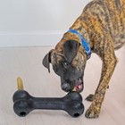 Kong Extreme Goodie Bone Xl Black Natural Rubber Fillable Dog Chew Toy
