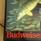 Vintage Budweiser Beer Light  walleye  Lighted Black Box Sign 1988 Rare 18 x18 