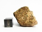 Nwa 15355 Cv3 8 29g Endcut Of Carbonaceous Condrite Meteorite 