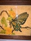 Vintage Ceramic Tile Butterfly Art Trivet Wood Frame