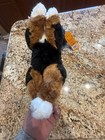 18  Animal Alley Toys R Us Bernese Mountain Dog Plush Stuffed Animal Floppy Soft