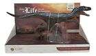 Velociraptor 11      Triceratops 9    Dinosaur Figure Bundle Deal