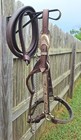 Western Horse Show Halter And Matching Leather Lead With Chain