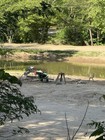 3lb Big Nugget Bag Guaranteed Gold Paydirt   Added Nugget  Pickers  Fines