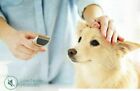 Pet Dog Cat Grooming Kit Rechargeable Cordless Electric Hair Clipper Trimmer Set