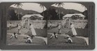 Drying Cocoa In The Sun Dominica British West Indies Keystone Stereoview C1900