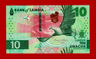 10 Kwacha Zambia Unc Note - Hybrid Substrat  Prefix Ae  Sign D h Kalyalya  P-62a